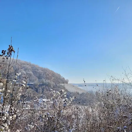 Ahrtal Vier Sterne Ferienwohnungen Alexandra Weiler Panorama Bad Neuenahr-Ahrweiler Buitenkant foto